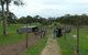 Avenue Emus - thumb 0