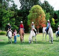 Limestone Coast Horseriding - Holiday Jervis Bay