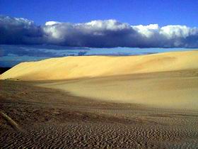 Beachport Conservation Park - Holiday Jervis Bay 1
