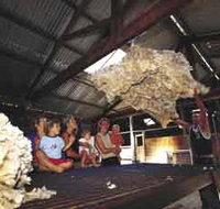 Shear Outback the Australian Shearers Hall of Fame - Holiday Jervis Bay