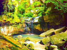 Carnarvon Gorge, Carnarvon National Park - Holiday Jervis Bay 0