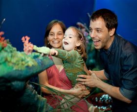 Museum Of Tropical Queensland - Holiday Jervis Bay 2