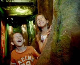 Museum Of Tropical Queensland - Holiday Jervis Bay 1