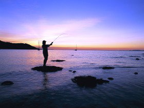 Fishing At Magnetic Island - Holiday Jervis Bay 0