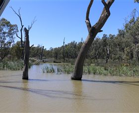 Wetlander Cruises - Holiday Jervis Bay 4