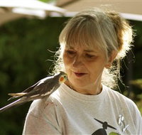 Simply Tomatoes - Holiday Jervis Bay