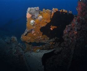 Lady Bowen Dive Site - Holiday Jervis Bay 0