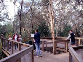 Valley Lake Conservation Park - Holiday Jervis Bay 1