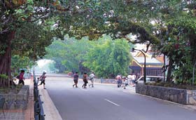Kuranda - Village In The Rainforest - Holiday Jervis Bay 1