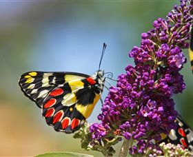 The Bible Museum - Holiday Jervis Bay 3