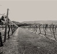 Halls Gap Estate - Holiday Jervis Bay