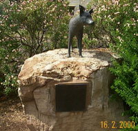 Dingo Statue - Holiday Jervis Bay
