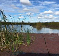 Gwydir Wetlands - Holiday Jervis Bay