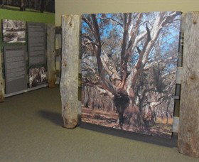 Barmah Forest Heritage And Education Centre - Holiday Jervis Bay 2