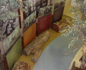 Barmah Forest Heritage And Education Centre - Holiday Jervis Bay 4