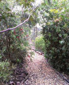 Timandra By The Sea - Holiday Jervis Bay 8