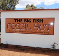 Big Fish Fossil Hut at Peak Hill - Holiday Jervis Bay