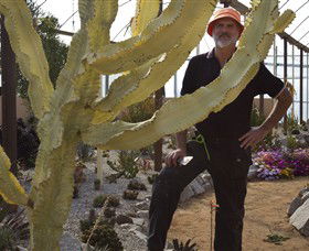 Cactus Country - Holiday Jervis Bay 0