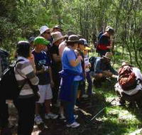 Warrumbungle National Park Discovery Program - Holiday Jervis Bay