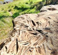 Terramungamine Rock Grooves - Holiday Jervis Bay