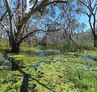 Macquarie Valley Trails - Holiday Jervis Bay