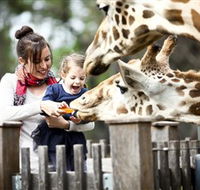 Taronga Western Plains Zoo Dubbo - Holiday Jervis Bay