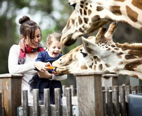Taronga Western Plains Zoo, Dubbo - Holiday Jervis Bay 0