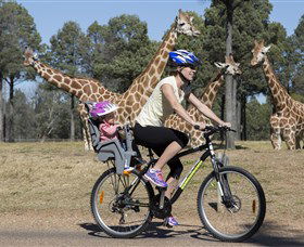 Taronga Western Plains Zoo, Dubbo - Holiday Jervis Bay 2