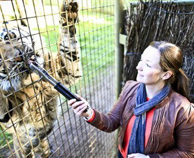 Taronga Western Plains Zoo, Dubbo - Holiday Jervis Bay 3