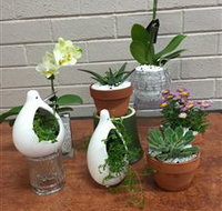 Cobram Florist - Holiday Jervis Bay