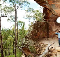 Pilliga National Park - Holiday Jervis Bay