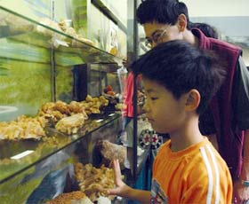 Crystal Kingdom - Holiday Jervis Bay 2