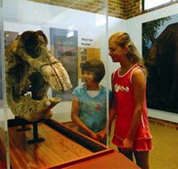 Australian Museum Diprotodon Exhibition - Holiday Jervis Bay