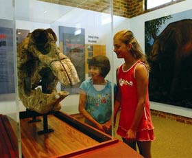 Australian Museum Diprotodon Exhibition - Holiday Jervis Bay 0