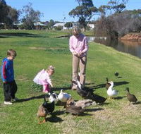 Roy Little Park Merredin - Holiday Jervis Bay