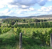 Sassy Wines - Holiday Jervis Bay