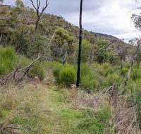 Lynchs loop trail - Holiday Jervis Bay