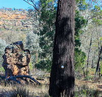 Eualdrie walking track - Holiday Jervis Bay