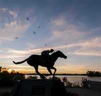 Black Caviar Statue - Holiday Jervis Bay