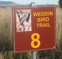 Weddin Bird Trails - Holiday Jervis Bay