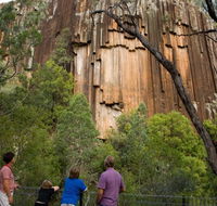 Sawn Rocks walking track - Holiday Jervis Bay