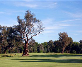 Corowa Golf Club - Holiday Jervis Bay 5