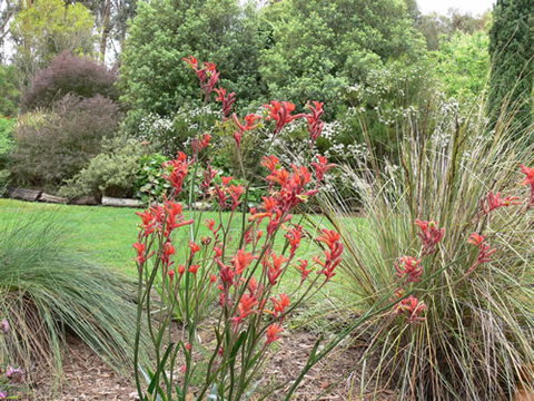 Timandra By The Sea - Holiday Jervis Bay 11