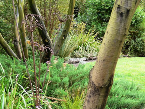 Timandra By The Sea - Holiday Jervis Bay 12