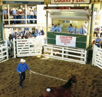 Gracemere Exhibition Complex - Holiday Jervis Bay