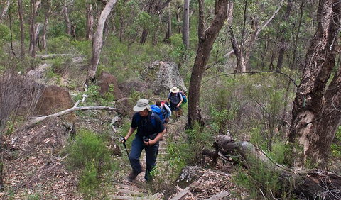 Yulludunida Walking Track - Holiday Jervis Bay 3