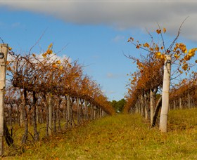 Charles Sturt University Winery Wagga Wagga - Holiday Jervis Bay 3
