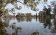 Henty Government Dam Nature Reserve - thumb 1