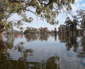 Henty Government Dam Nature Reserve - Holiday Jervis Bay 1