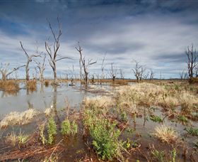 Winton Wetlands Reserve - Holiday Jervis Bay 4